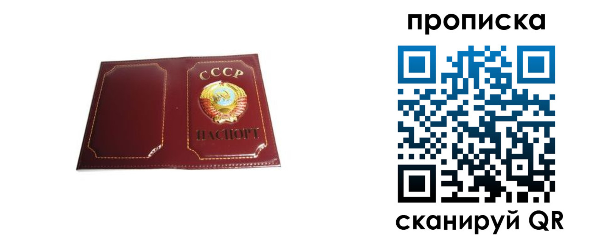 прописка гарантия в Лебедяни